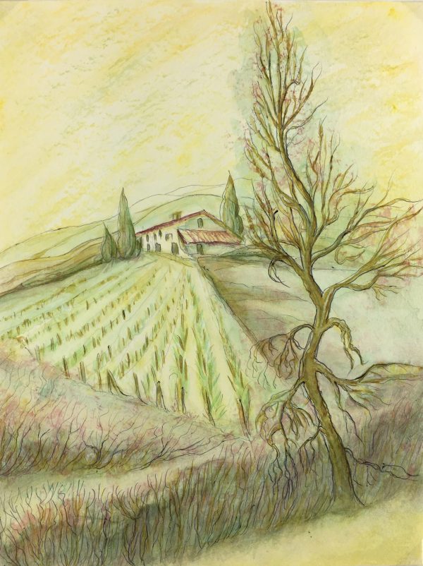 Provence, France Original Art - Provence, Fischer, c.1960