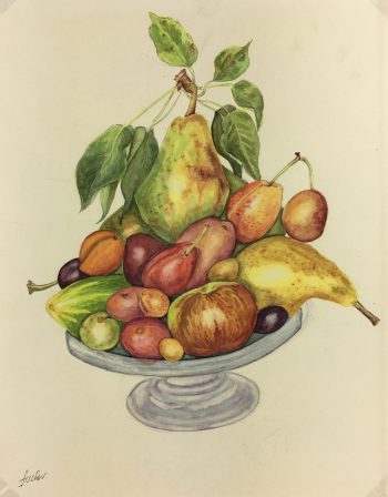 Still Life Original Art - Cornucopia, Fischer, c.1960