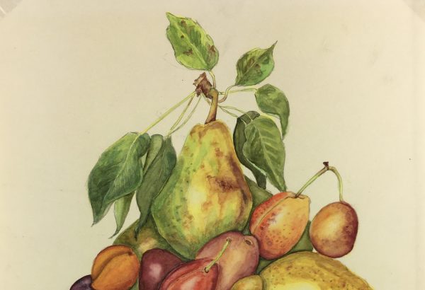 Still Life Original Art - Cornucopia, Fischer, c.1960