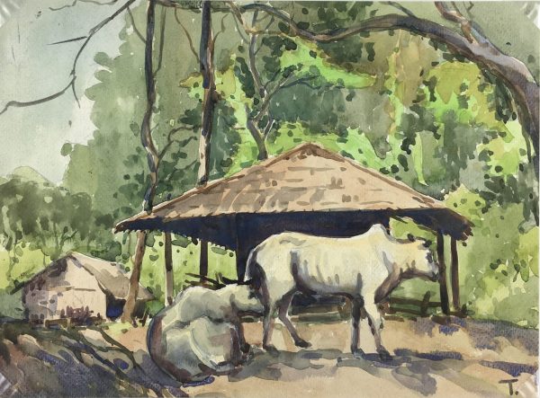 World Original Art - Oxen, T Thike (Burma), 2013
