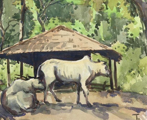 World Original Art - Oxen, T Thike (Burma), 2013