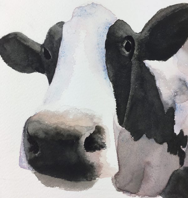 Animals Cattle Original Art - Cow , Sani, 2011