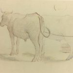 Animals Cattle Original Art - Cattle, Giselle Halff, 1959