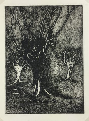 Engravings & Etchings Original Art - Etching - Trees, George Ball, 1981