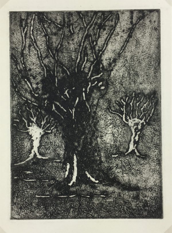 Engravings & Etchings Original Art - Etching - Trees, George Ball, 1981