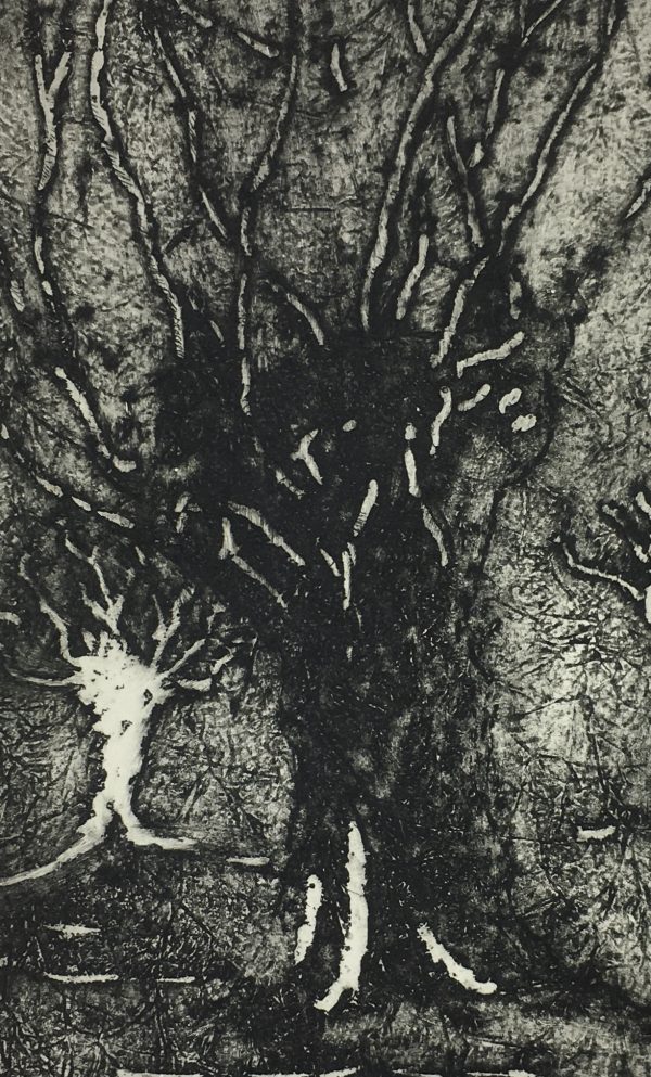 Engravings & Etchings Original Art - Etching - Trees, George Ball, 1981