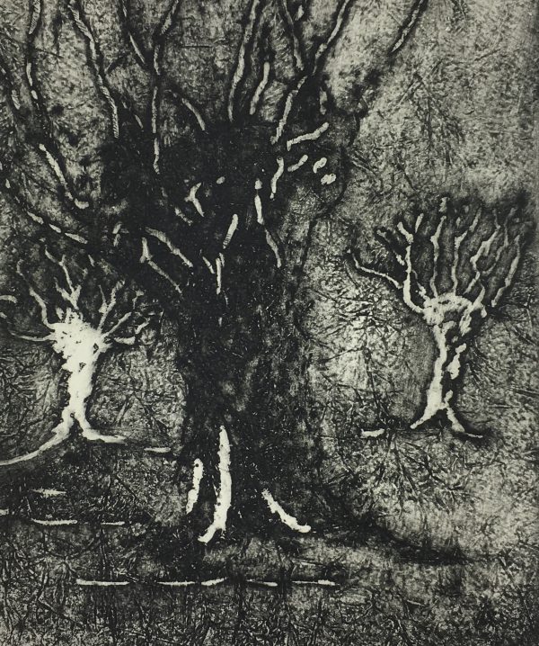 Engravings & Etchings Original Art - Etching - Trees, George Ball, 1981