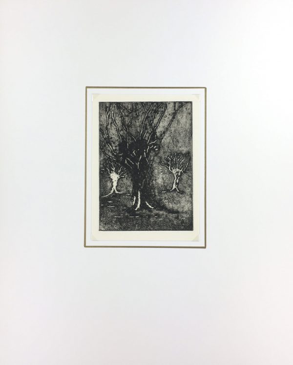 Engravings & Etchings Original Art - Etching - Trees, George Ball, 1981