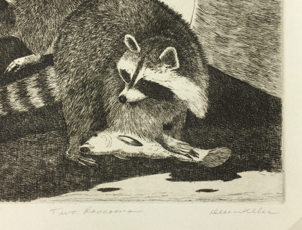 Engravings & Etchings Original Art - Raccoons, Don Weller, C.1960