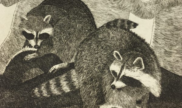 Engravings & Etchings Original Art - Raccoons, Don Weller, C.1960