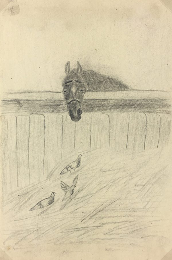 Animals Horses Original Art - Horse and Birds, C.1940
