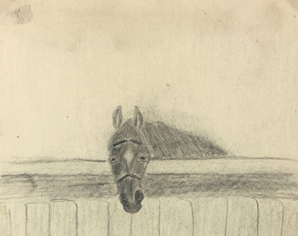 Animals Horses Original Art - Horse and Birds, C.1940