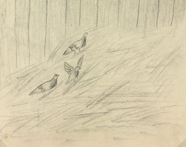 Animals Horses Original Art - Horse and Birds, C.1940