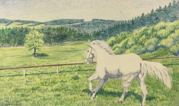 Animals Horses Original Art - White Horse, W. Menzel, 1945