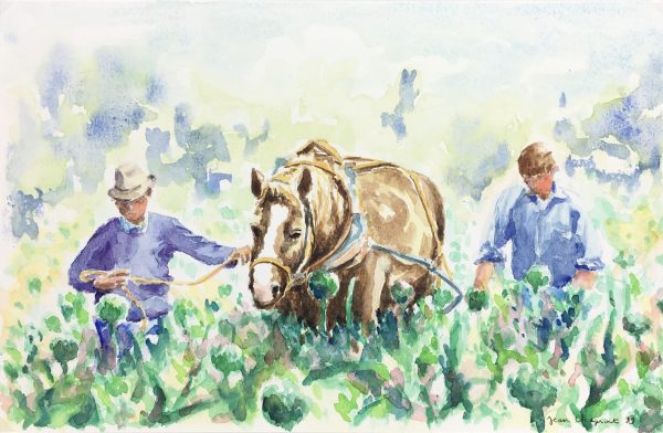 Animals Horses Original Art - Field Work, Jean Chapront, 1999