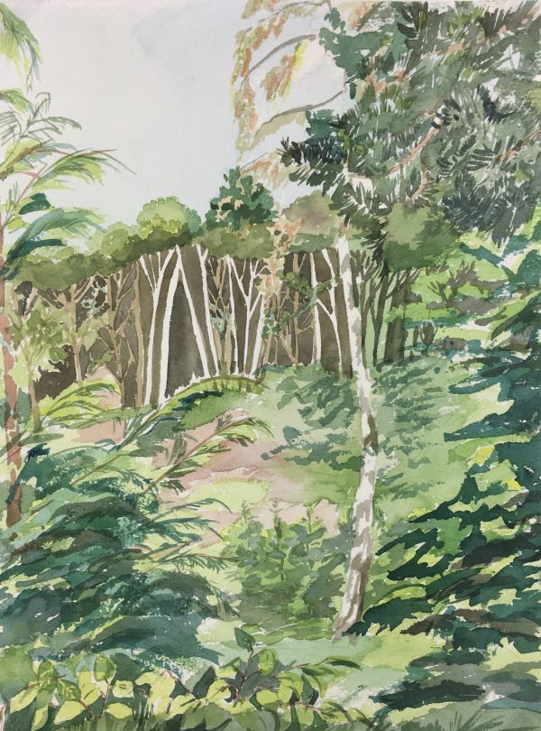 Landscapes Original Art - Lush Forest, French, c.1960