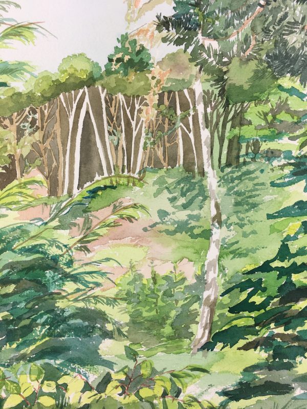 Landscapes Original Art - Lush Forest, French, c.1960