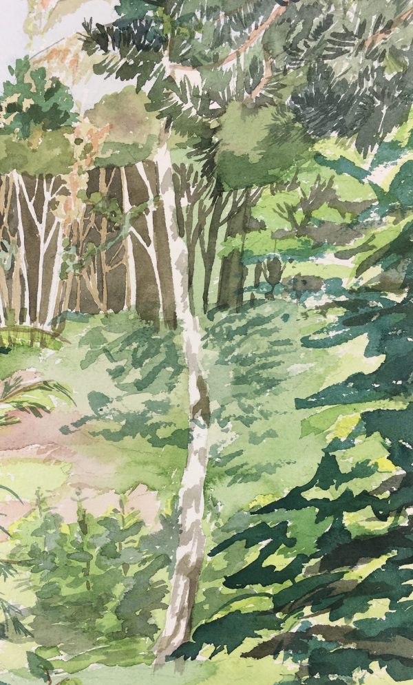 Landscapes Original Art - Lush Forest, French, c.1960