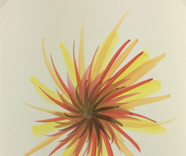 Modern Original Art - Star Burst, Spe, 2012