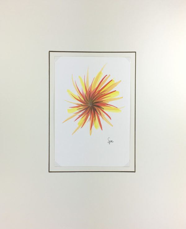 Modern Original Art - Star Burst, Spe, 2012