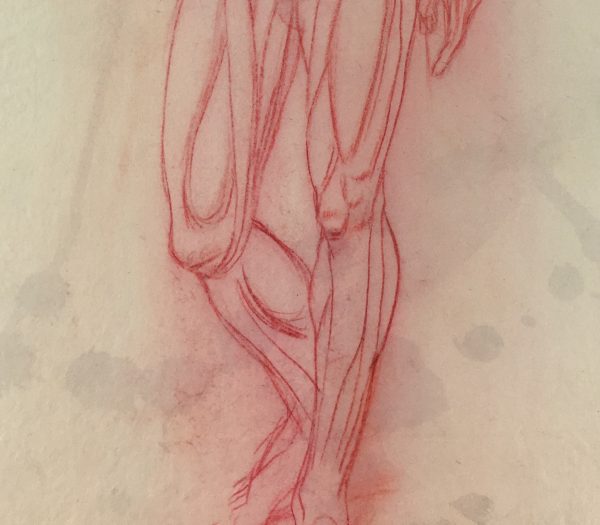 Sketches Original Art - Muscles, Albert Vialé, C.1930