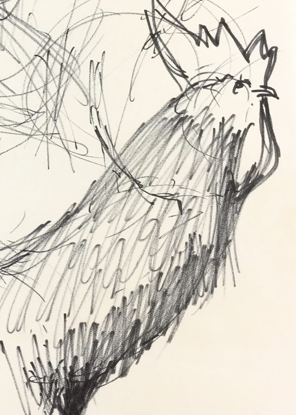 Animals Original Art - Rooster, Schwerb, C.1960