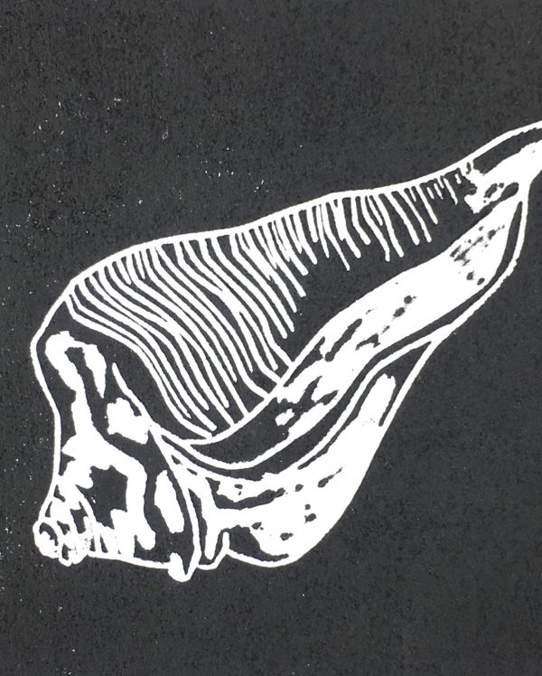 Beach Original Art - Concha, Virginia, 2008