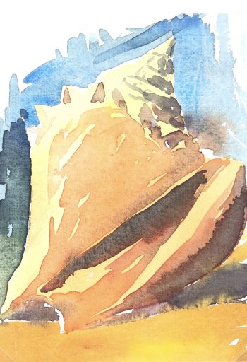 Beach Original Art - Shell Watercolor, Daniel, 1989