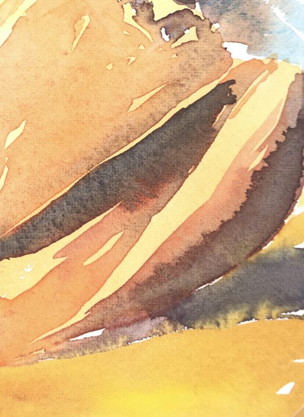 Beach Original Art - Shell Watercolor, Daniel, 1989