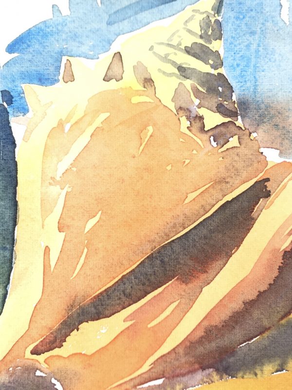 Beach Original Art - Shell Watercolor, Daniel, 1989