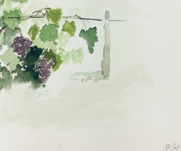 Farm Landscapes Original Art - Vineyard, 1996