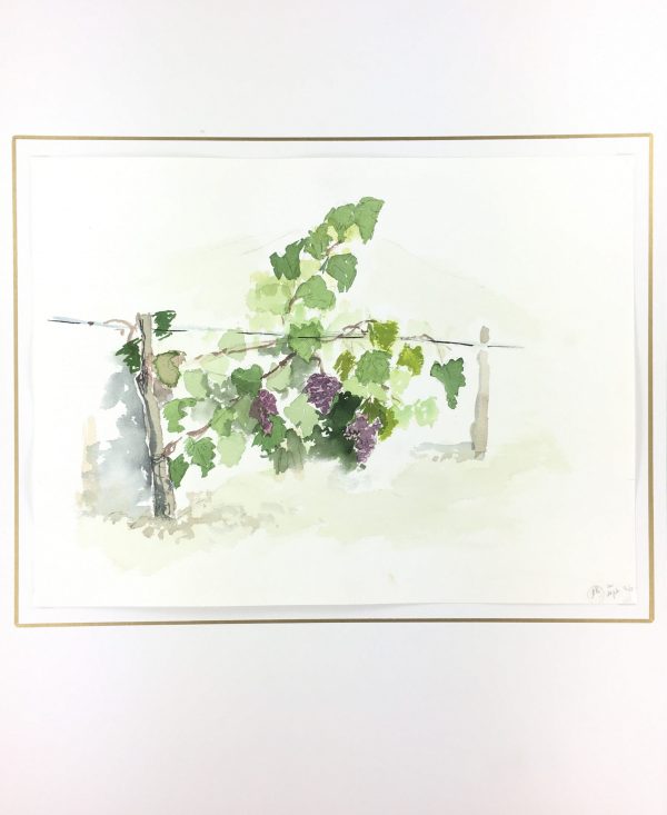 Farm Landscapes Original Art - Vineyard, 1996