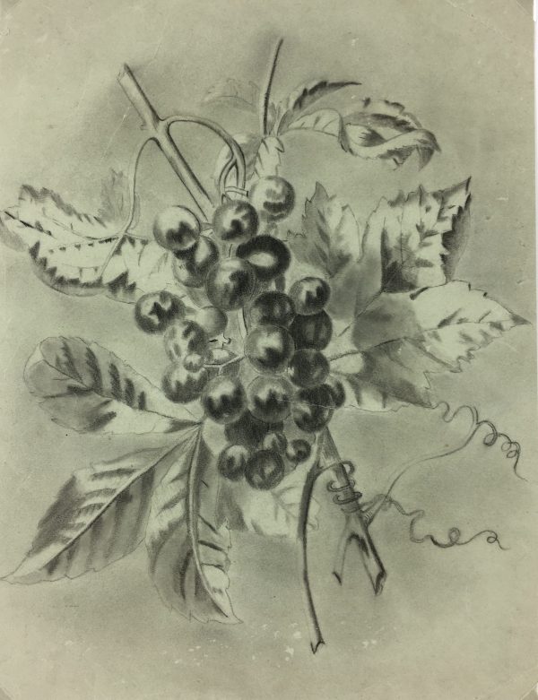 Farm Landscapes Original Art - Grapevine, C.1920