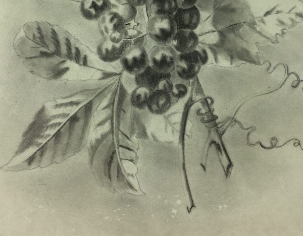 Farm Landscapes Original Art - Grapevine, C.1920