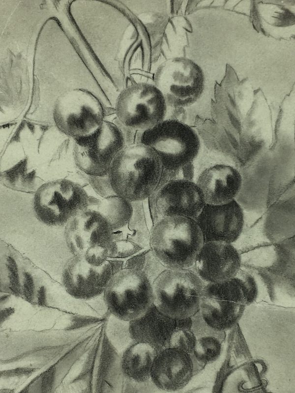 Farm Landscapes Original Art - Grapevine, C.1920