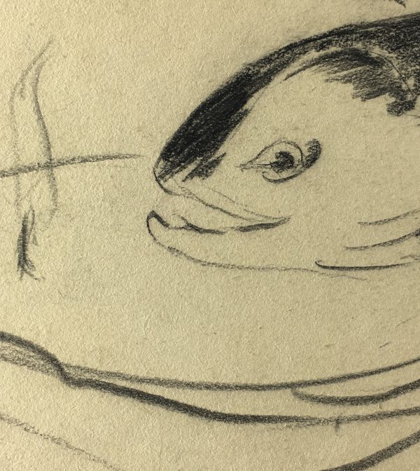 Animals Fish & Fishing Original Art - Fish, c.1960