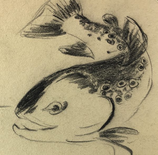 Animals Fish & Fishing Original Art - Fish, c.1960