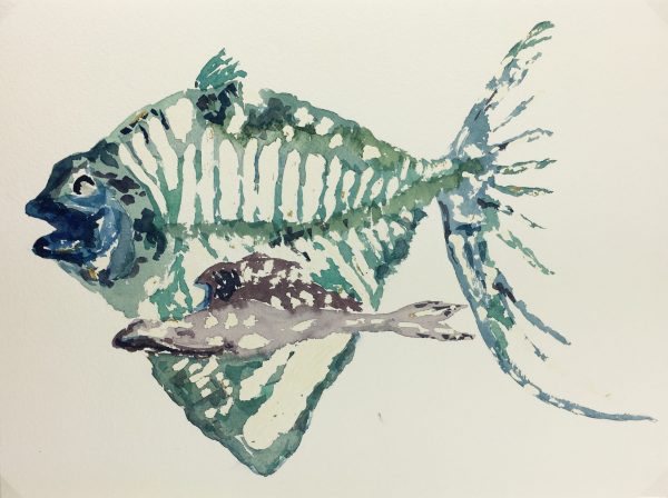 Animals Fish & Fishing Original Art - Turqouise Fish, 2000