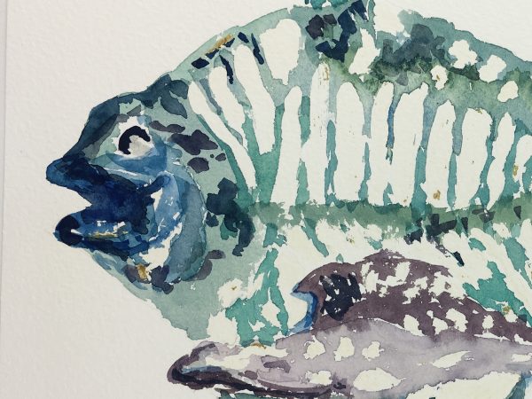 Animals Fish & Fishing Original Art - Turqouise Fish, 2000
