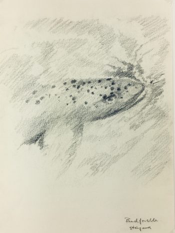 Animals Fish & Fishing Original Art - Fish, 2010