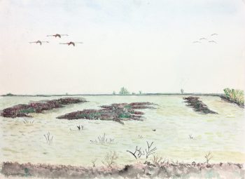 Animals Fish & Fishing Original Art - Quiet Marsh, c.1960