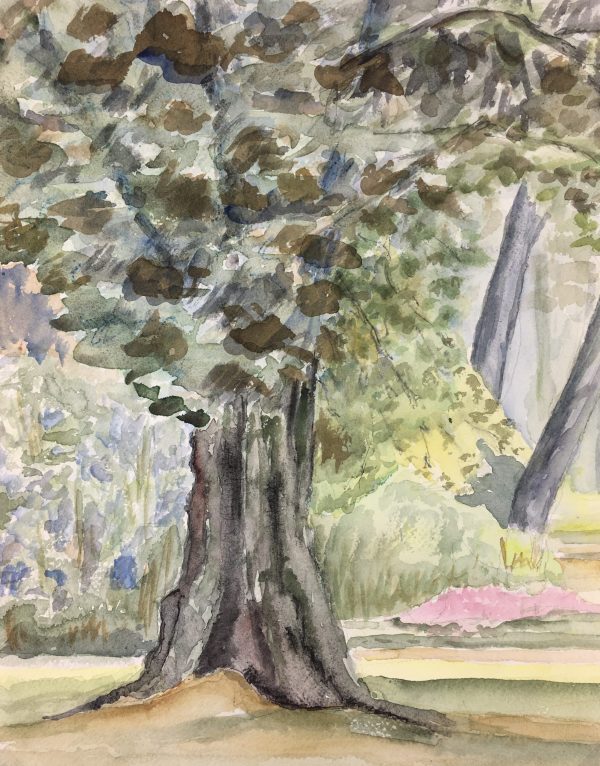 Paris, France Original Art - Paris Luxembourg Gardens, C.1960