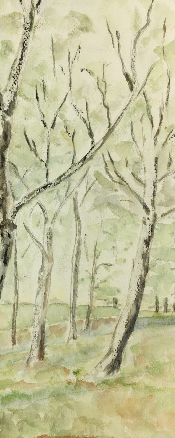 Trees Original Art - Bicycle Trees, C.1950