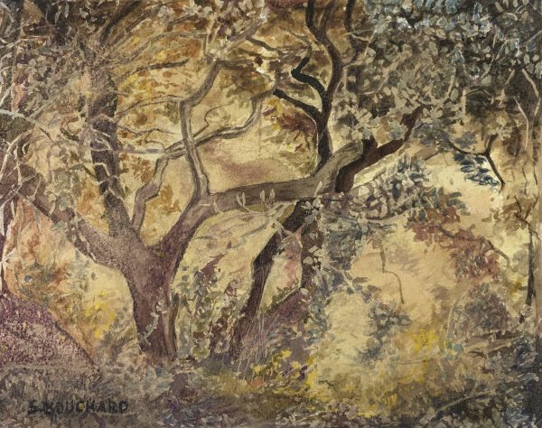 Trees Original Art - S. Bouchard - Interwined, 1930