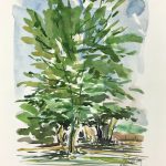 Trees Original Art - Tree, Suzanne Buty, 2000