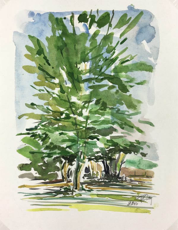 Trees Original Art - Tree, Suzanne Buty, 2000
