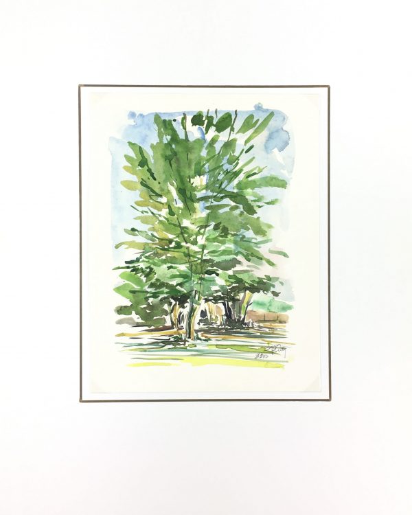 Trees Original Art - Tree, Suzanne Buty, 2000