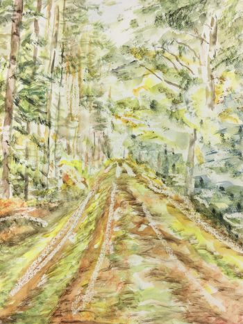 Trees Original Art - Forest Path, C.1960