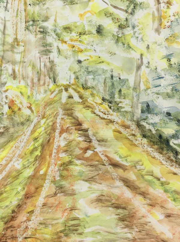 Trees Original Art - Forest Path, C.1960