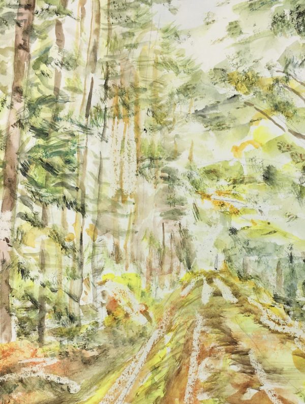 Trees Original Art - Forest Path, C.1960